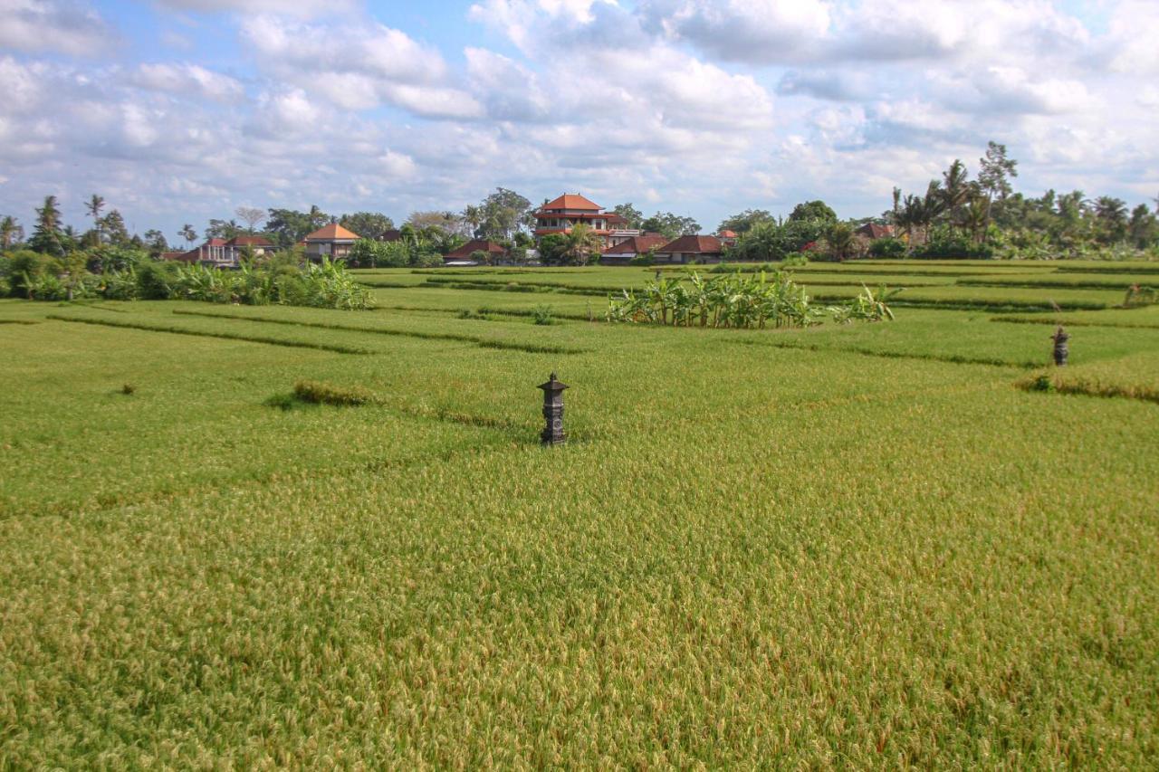 Kubu Sari Ubud エクステリア 写真