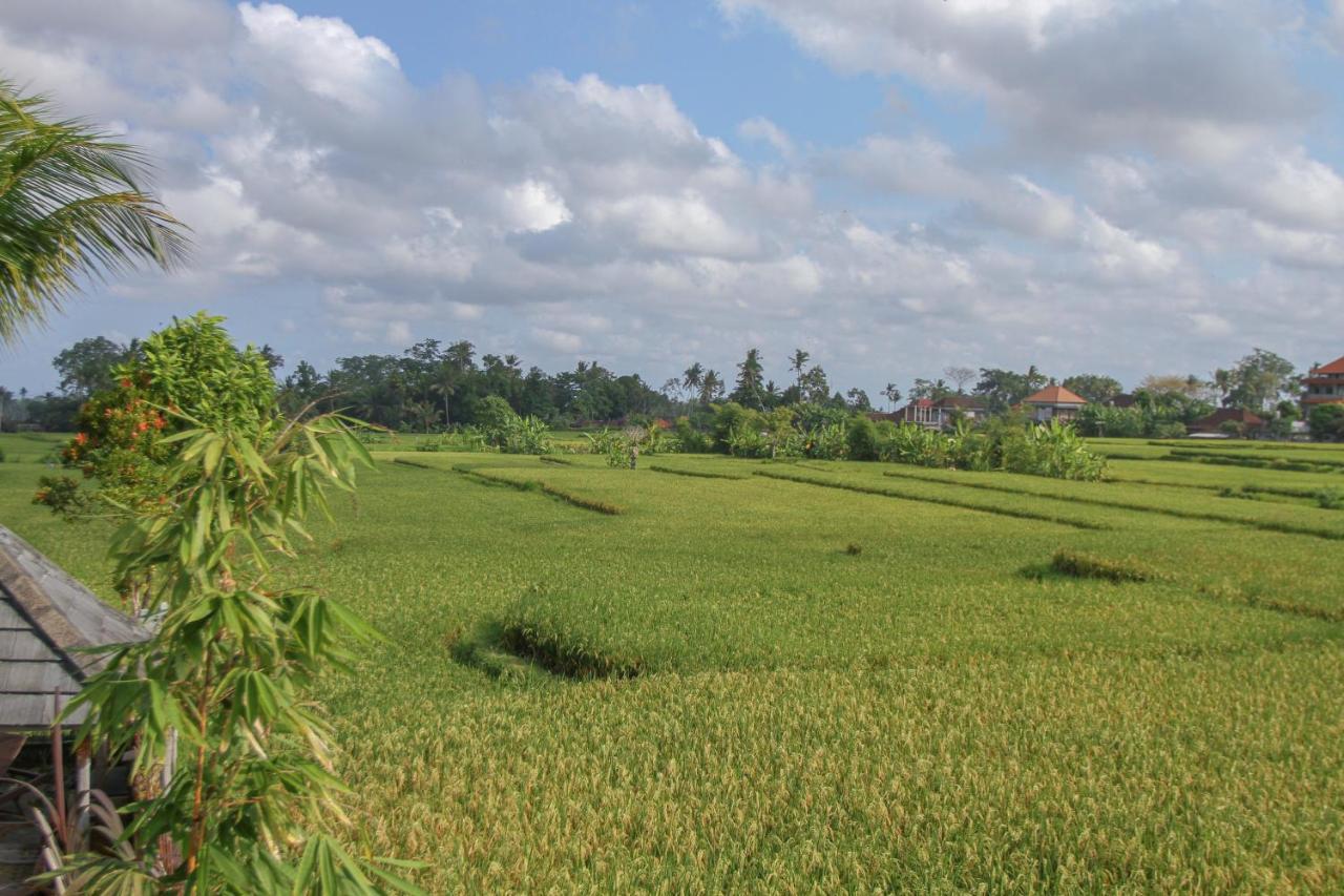 Kubu Sari Ubud エクステリア 写真