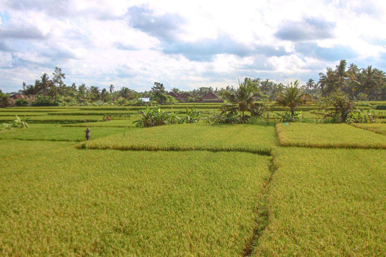 Kubu Sari Ubud エクステリア 写真
