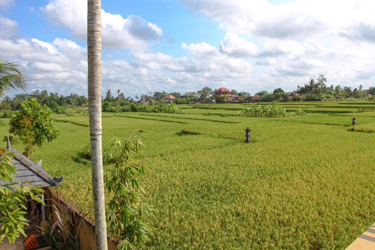 Kubu Sari Ubud エクステリア 写真